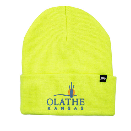 Hi-Vis Watch Cap Beanie Thumbnail